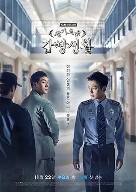 热播电视剧全集《雾港回声》手机免费在线观看